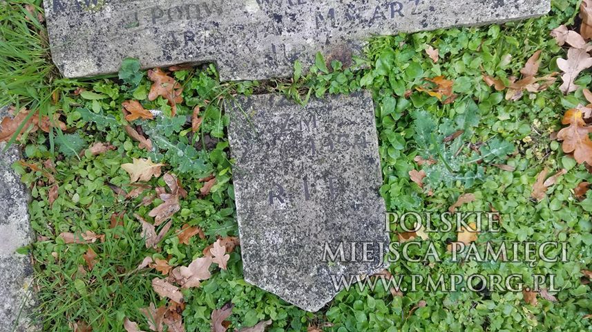 zdjęcie: Adam Ryznar
