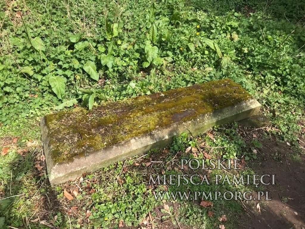 Grób Seweryna Dziewickiego - przed czyszczeniem lipiec 2019