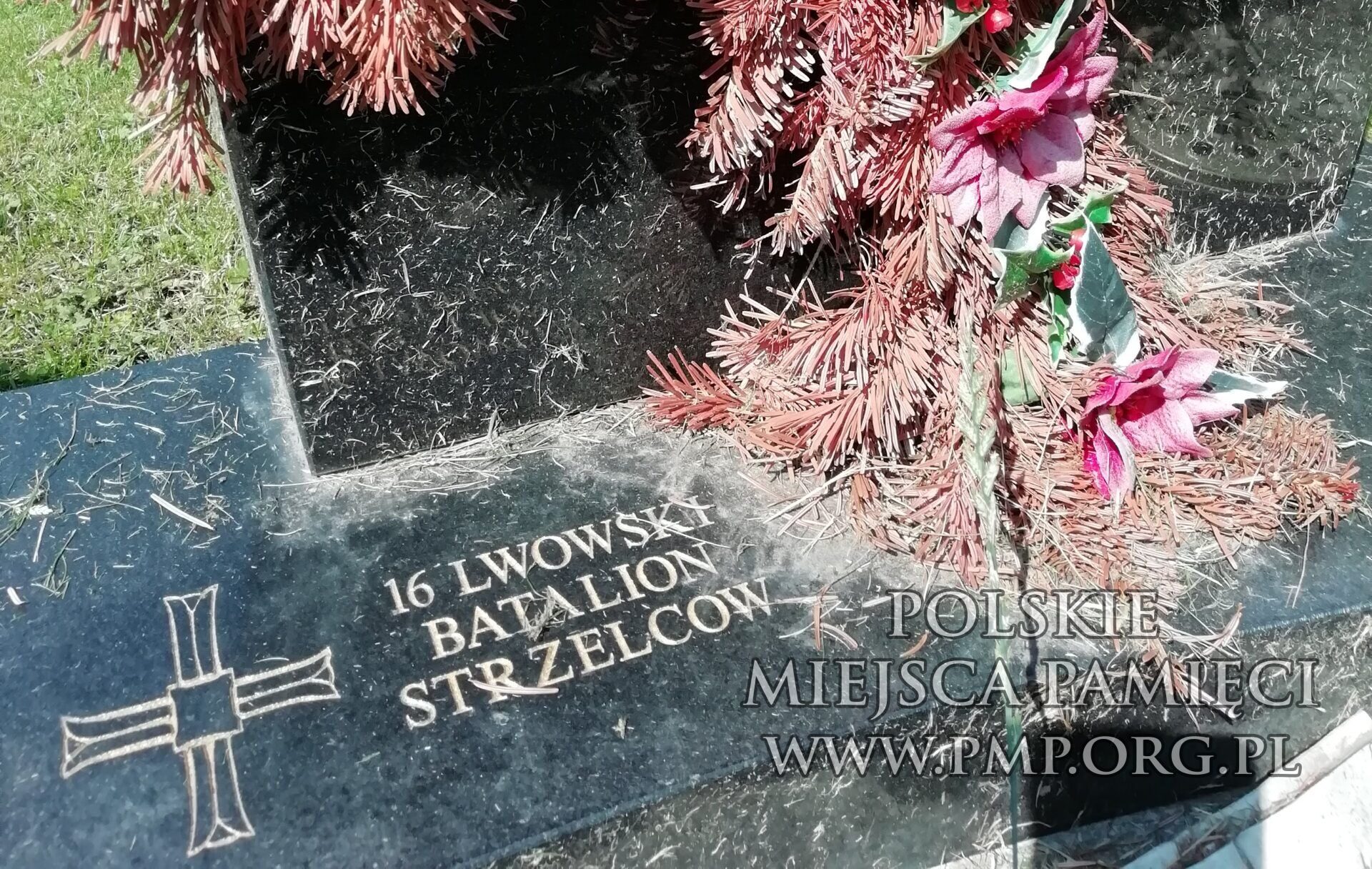 zdjęcie: Nicola Lakovic